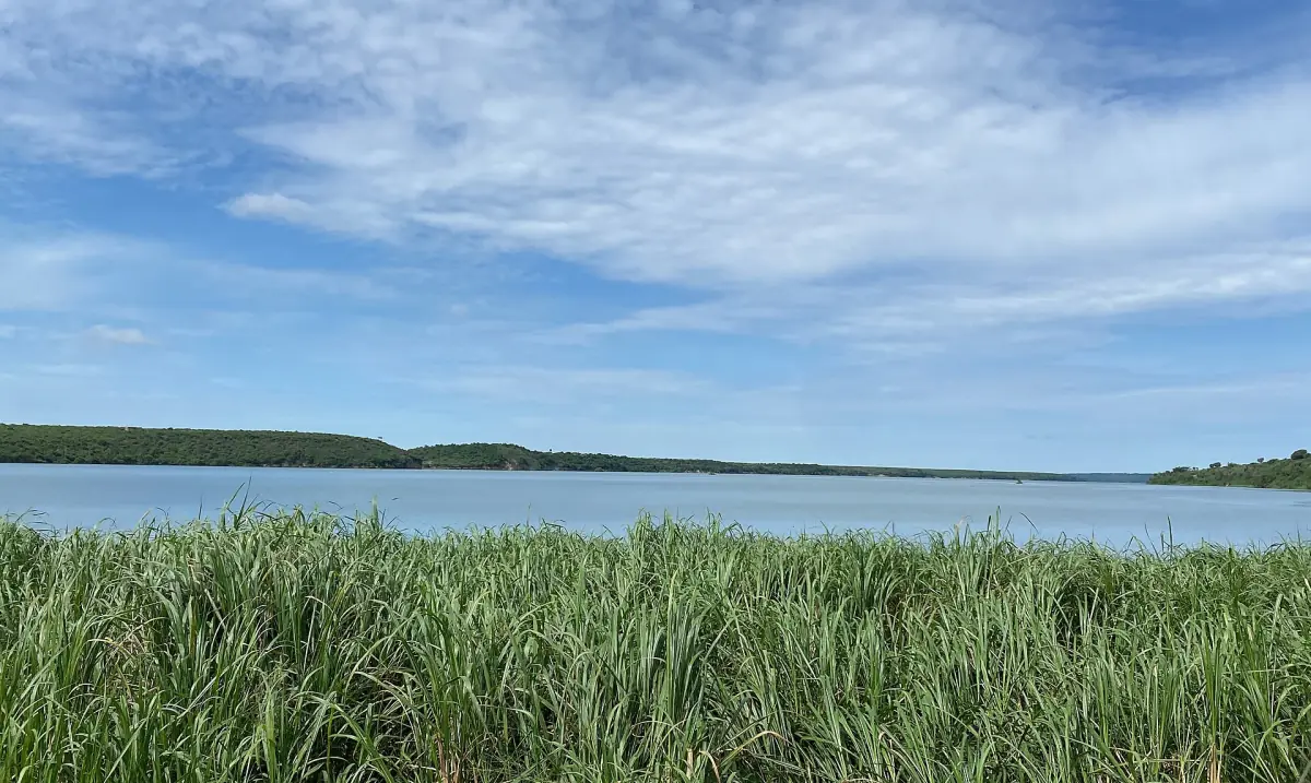 Calm water of the channel with reeds and a wide sky with clouds