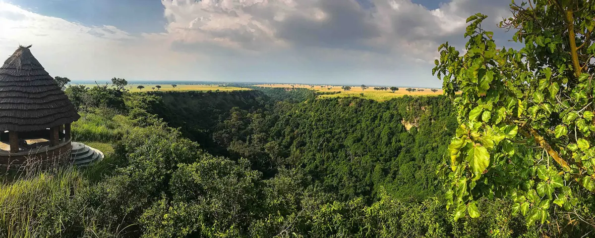 The forested Kyambura Gorge seen from the rim under a cloudy sky