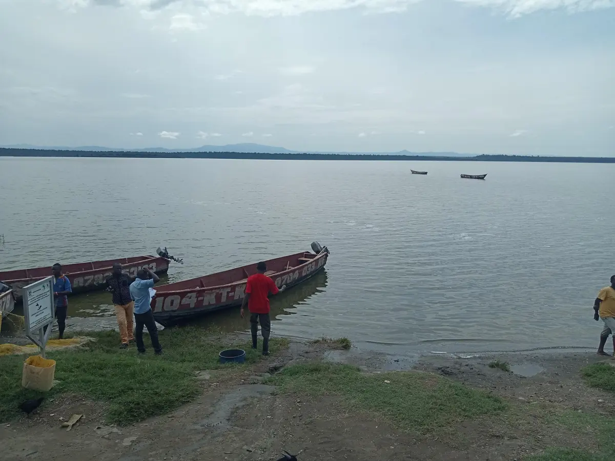 Wooden fishing boats pulled up on the shore of Lake Edward