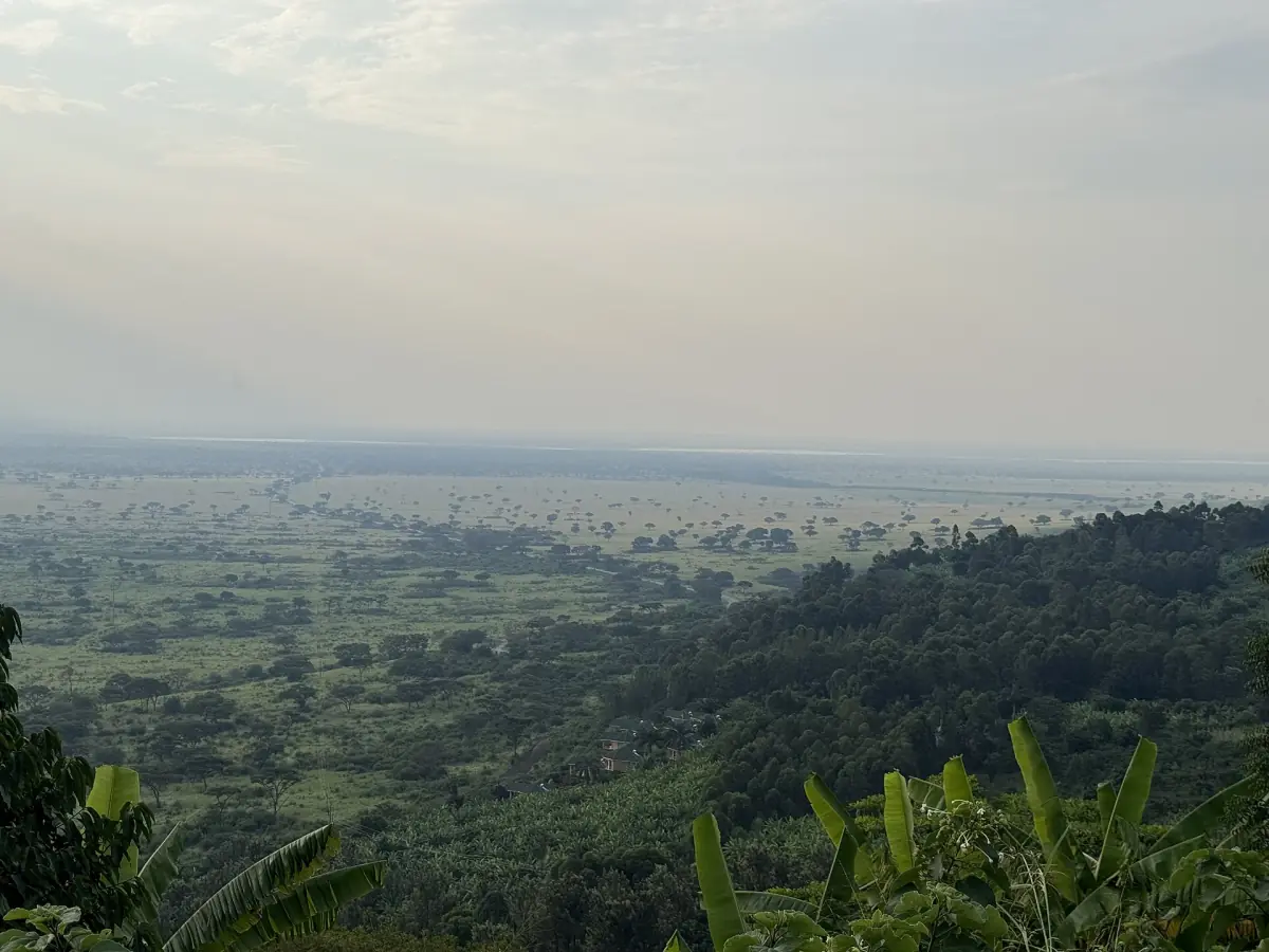 A wide hazy view over green hills and plains near the national park